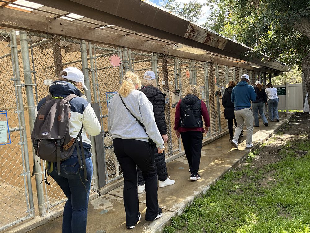 The VCCF Animal Welfare Tour group walks through the Humane Society of Ventura County's campus