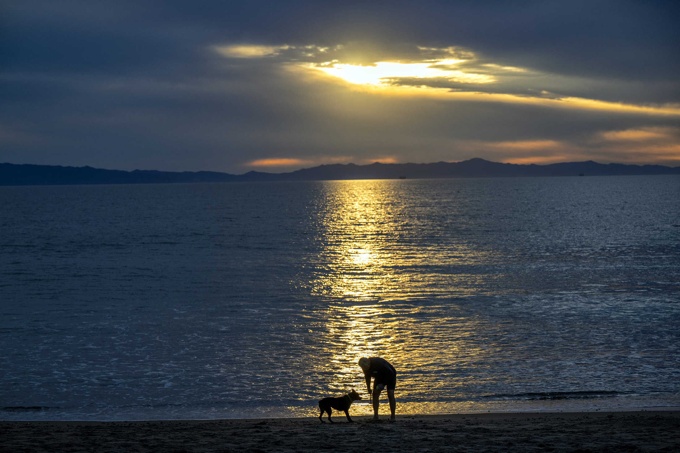 Sunset beach dog walk